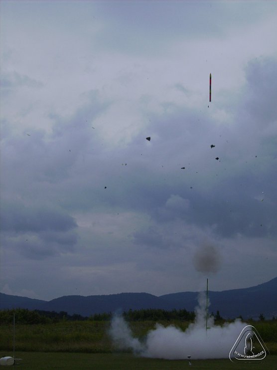 2013 Suche 29062013 Olivera